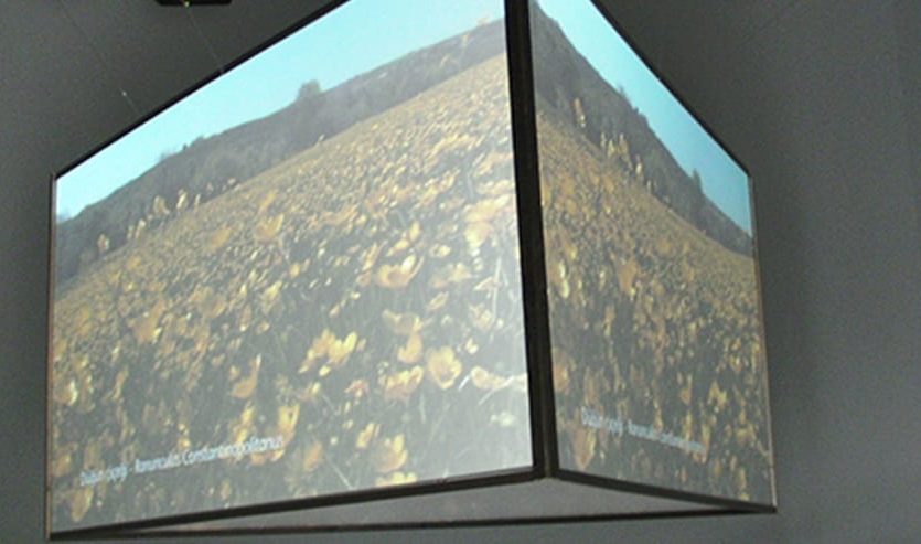 9548814781_ref-turkiye-bahcesi-01