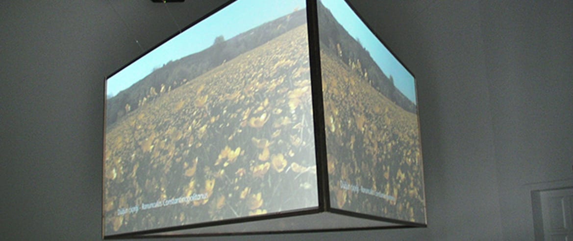 9548814781_ref-turkiye-bahcesi-01